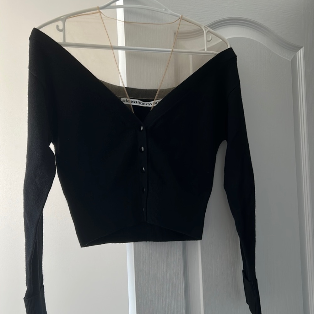 Alexander Wang Sweater